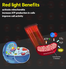 ESPRO1500 Red Light Therapy Panel - Touch Screen Design for Home Use